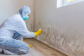 Best Attic Mold Removal in Richlands, VA